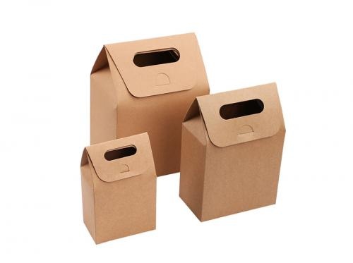 Custom Sized Hand-held Foldable Paper Case
