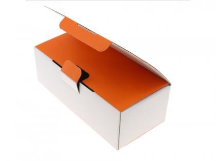Biodegradable Simple Storage Paper Case