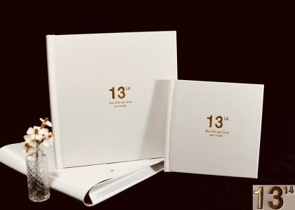 OEM y ODM Custom color leather double album with storage bag a la venta